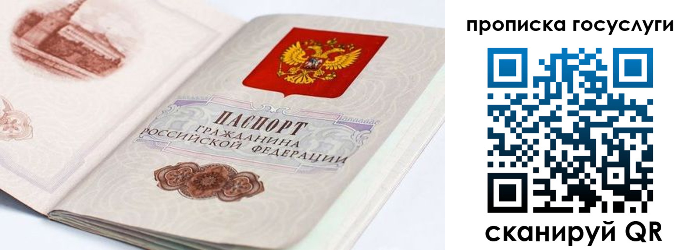 прописка гарантия в Каменск-Шахтинском